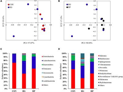 Mucosal Microbiota and Metabolome in the Ileum of Hu Sheep Offered a Low-Grain, Pelleted or Non-pelleted High-Grain Diet